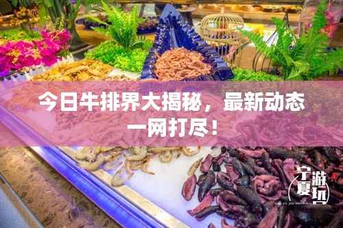 今日牛排界大揭秘,最新动态一网打尽!