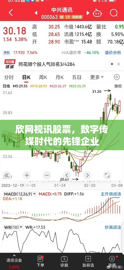 欣网视讯股票,数字传媒时代的先锋企业