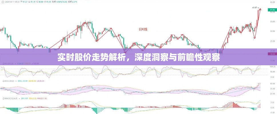 实时股价走势解析，深度洞察与前瞻性观察