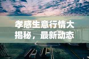 孝感生意行情大揭秘，最新动态一网打尽