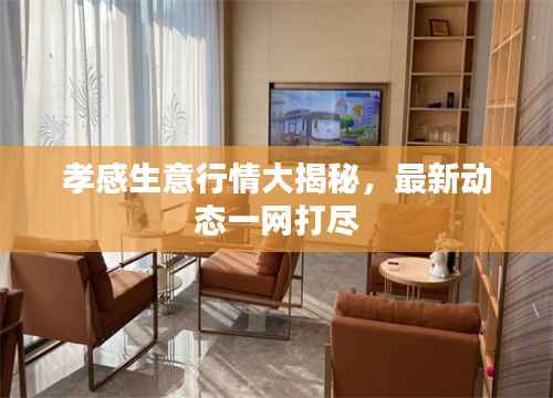 孝感生意行情大揭秘,最新动态一网打尽