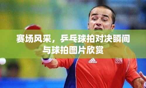 赛场风采，乒乓球拍对决瞬间与球拍图片欣赏
