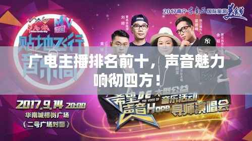 广电主播排名前十,声音魅力响彻四方!