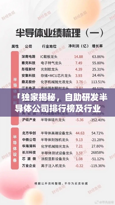 「独家揭秘，自助研发半导体公司排行榜及行业影响力深度剖析」