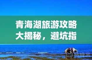 青海湖旅游攻略大揭秘,避坑指南与绝美景点推荐
