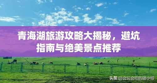 青海湖旅游攻略大揭秘,避坑指南与绝美景点推荐
