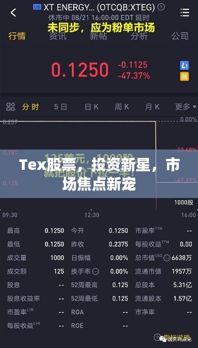 Tex股票，投资新星，市场焦点新宠