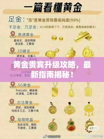 黄金贵宾升级攻略，最新指南揭秘！