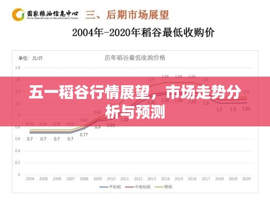 五一稻谷行情展望，市场走势分析与预测