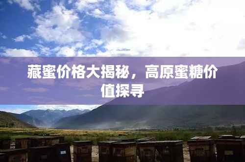 藏蜜价格大揭秘，高原蜜糖价值探寻