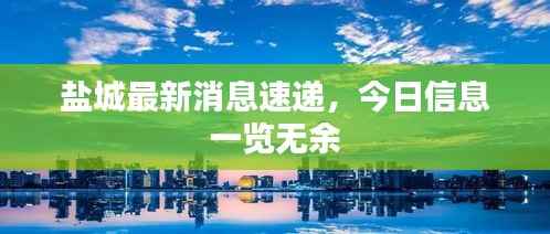 盐城最新消息速递，今日信息一览无余