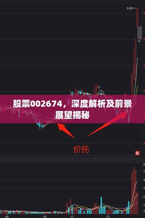 股票002674,深度解析及前景展望揭秘