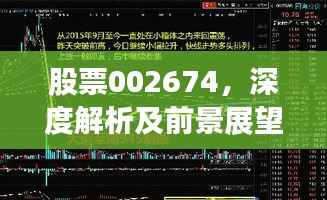 股票002674,深度解析及前景展望揭秘