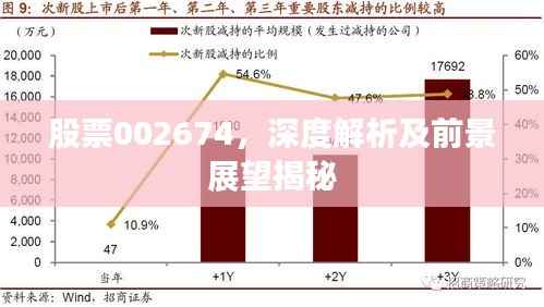 股票002674,深度解析及前景展望揭秘