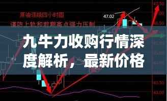 九牛力收购行情深度解析,最新价格走势一网打尽!