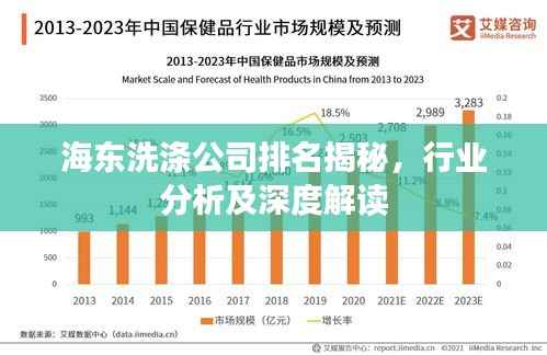 海东洗涤公司排名揭秘,行业分析及深度解读