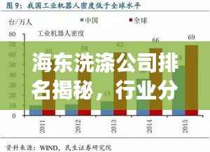 海东洗涤公司排名揭秘,行业分析及深度解读