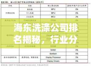 海东洗涤公司排名揭秘,行业分析及深度解读