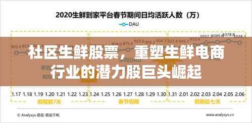 社区生鲜股票,重塑生鲜电商行业的潜力股巨头崛起