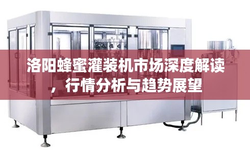 洛阳蜂蜜灌装机市场深度解读，行情分析与趋势展望