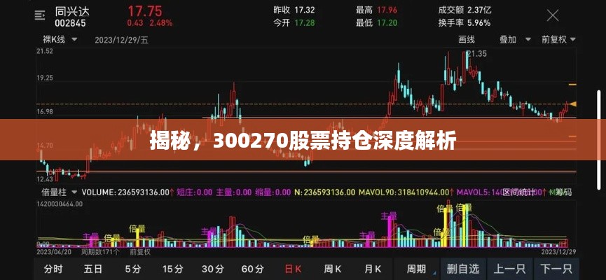 揭秘，300270股票持仓深度解析