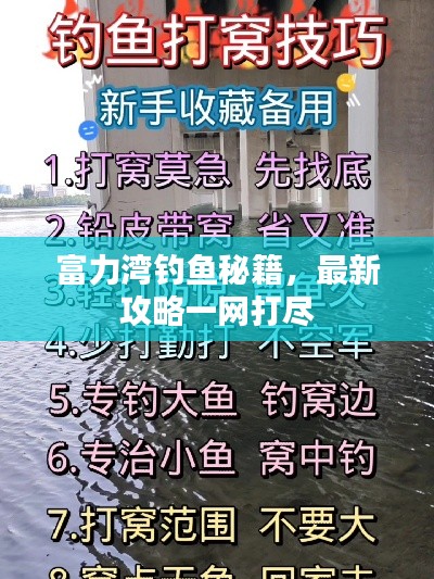 富力湾钓鱼秘籍,最新攻略一网打尽