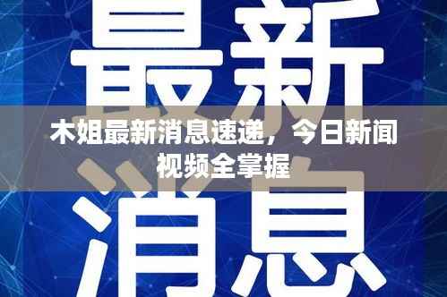 木姐最新消息速递，今日新闻视频全掌握