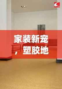家装新宠，塑胶地板，理想之选！