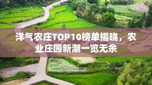 夯雀儿先飞 第4页