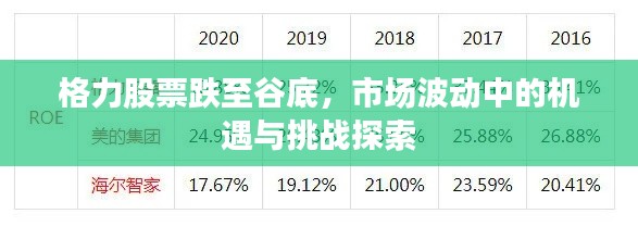 格力股票跌至谷底，市场波动中的机遇与挑战探索