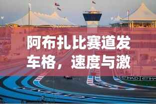 阿布扎比赛道发车格，速度与激情的极致交融