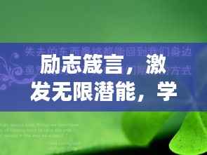 励志箴言,激发无限潜能,学子励志成长之路