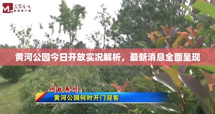 黄河公园今日开放实况解析,最新消息全面呈现