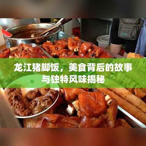 龙江猪脚饭，美食背后的故事与独特风味揭秘