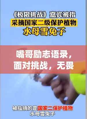 嘴哥励志语录，面对挑战，无畏艰难！