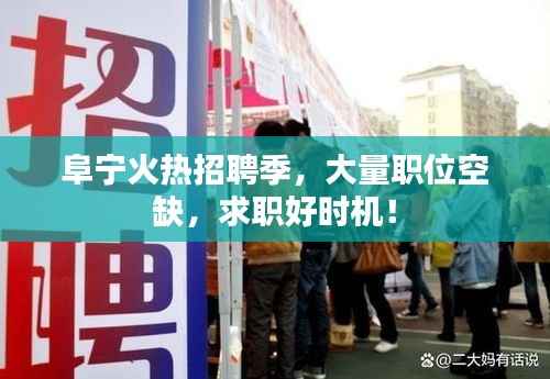 阜宁火热招聘季,大量职位空缺,求职好时机!