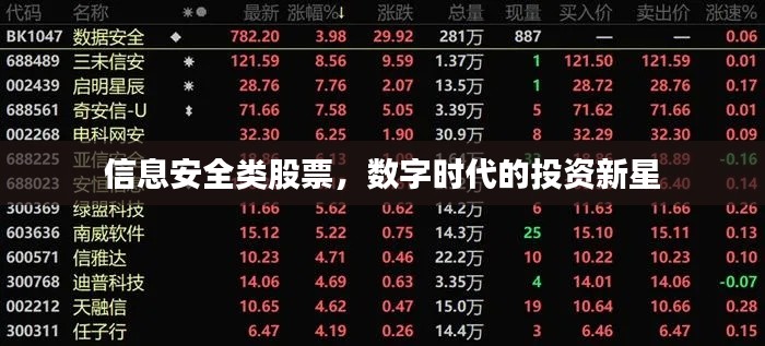 信息安全类股票,数字时代的投资新星