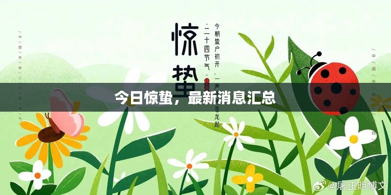 今日惊蛰，最新消息汇总