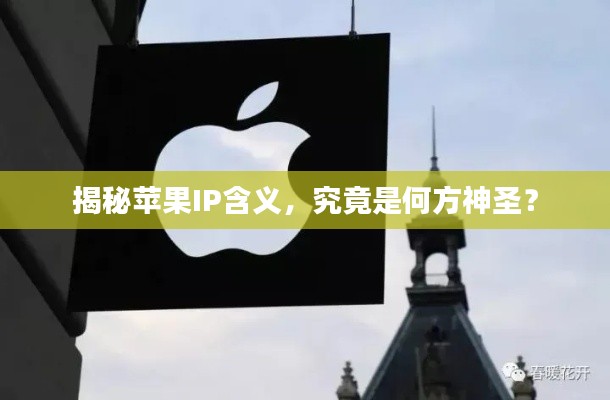 揭秘苹果IP含义，究竟是何方神圣？