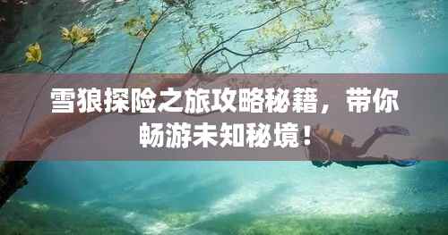 雪狼探险之旅攻略秘籍,带你畅游未知秘境!