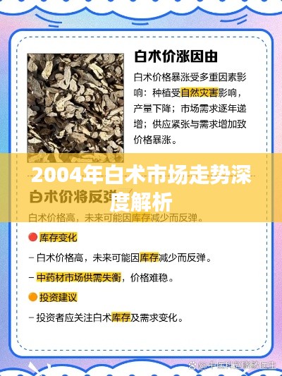 2004年白术市场走势深度解析