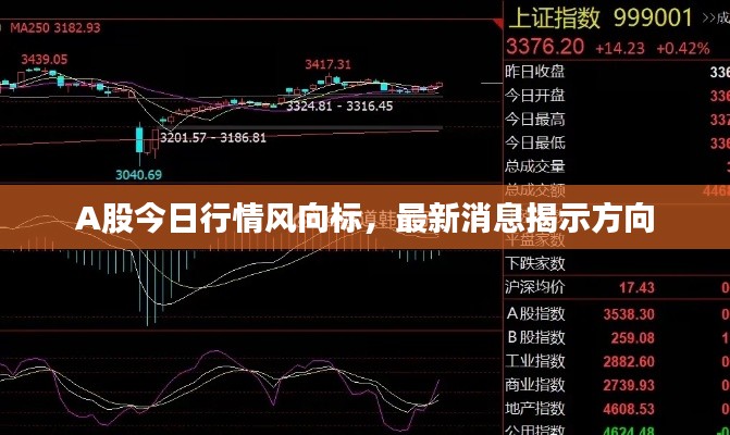 A股今日行情风向标,最新消息揭示方向