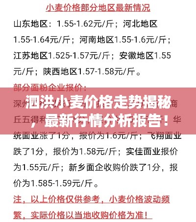 泗洪小麦价格走势揭秘,最新行情分析报告!