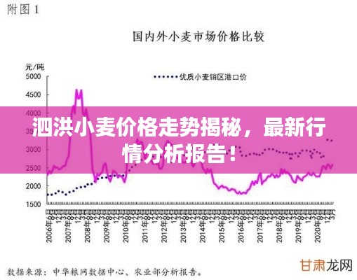 泗洪小麦价格走势揭秘,最新行情分析报告!