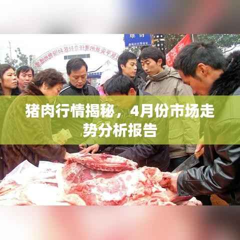 猪肉行情揭秘，4月份市场走势分析报告