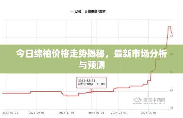 今日绵柏价格走势揭秘，最新市场分析与预测
