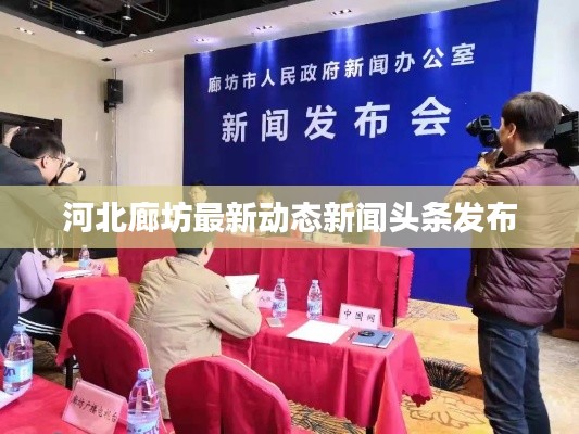 河北廊坊最新动态新闻头条发布