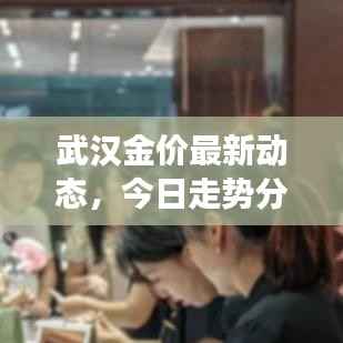 武汉金价最新动态，今日走势分析及市场展望