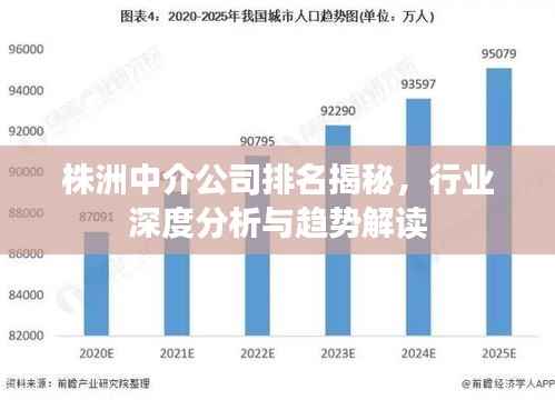 株洲中介公司排名揭秘，行业深度分析与趋势解读