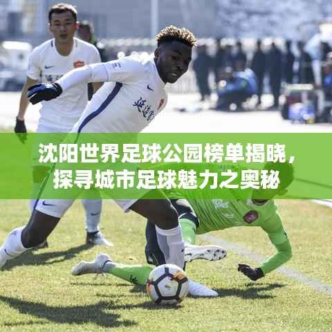 沈阳世界足球公园榜单揭晓，探寻城市足球魅力之奥秘